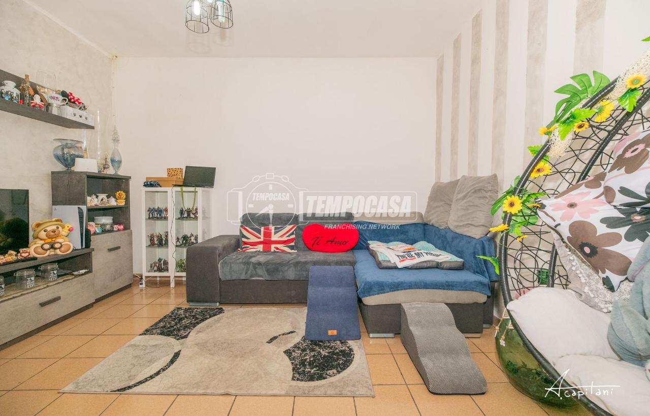 immagine annuncio 11 di 15