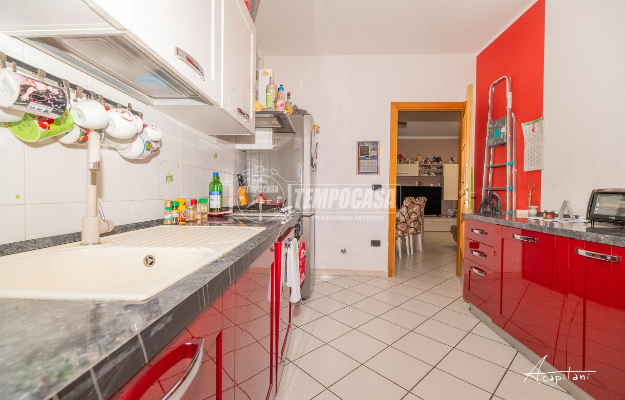 immagine annuncio 9 di 15