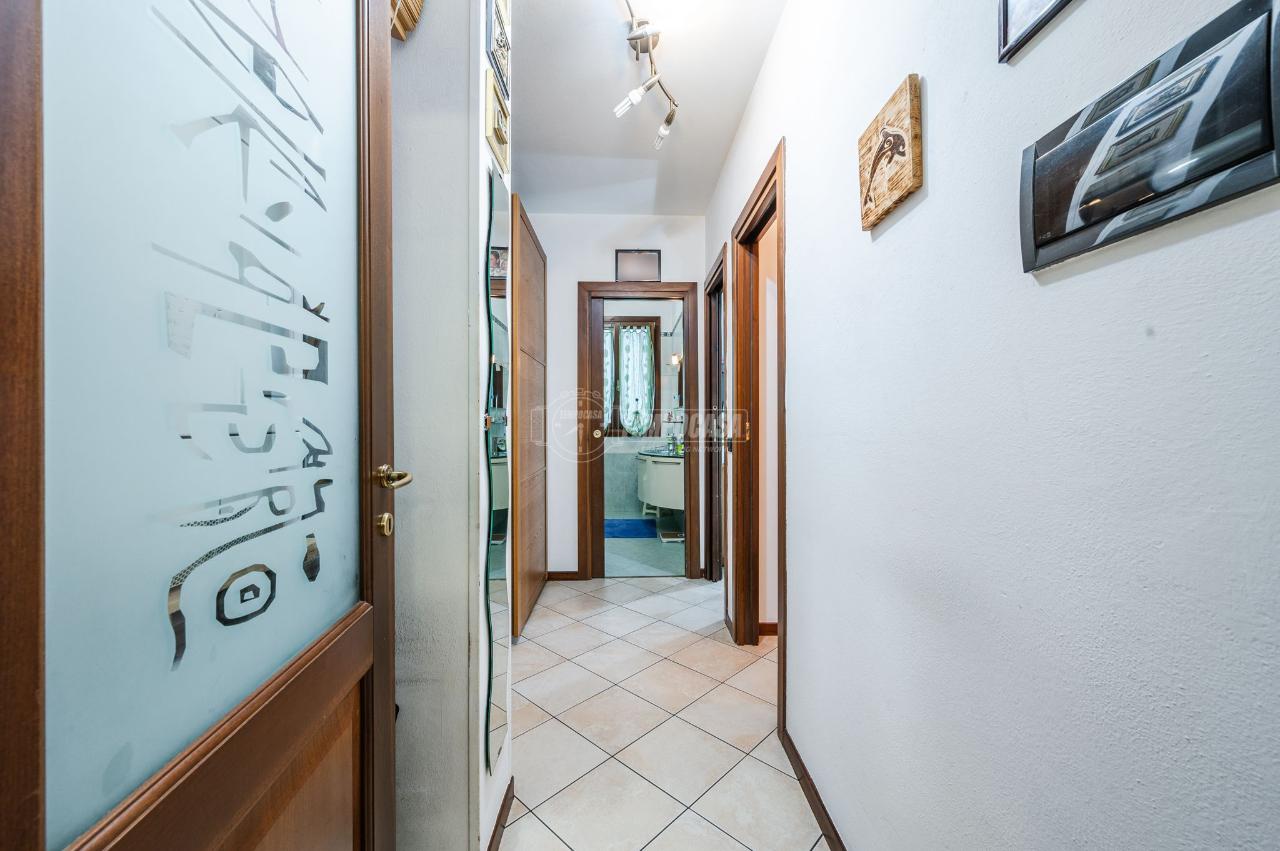 immagine annuncio 6 di 14
