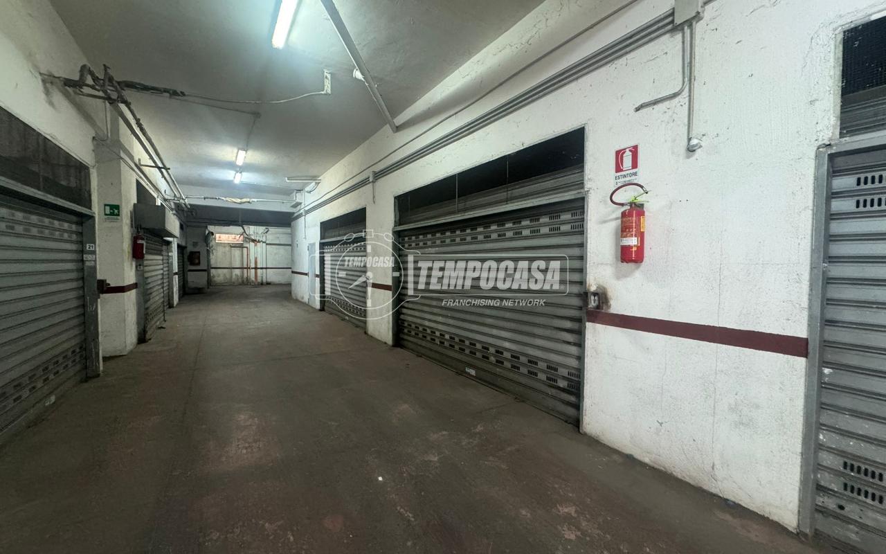 immagine annuncio 3 di 12