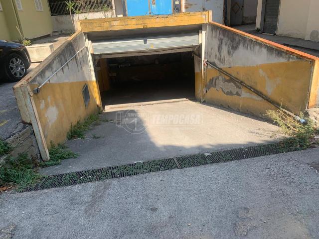 insertion image
