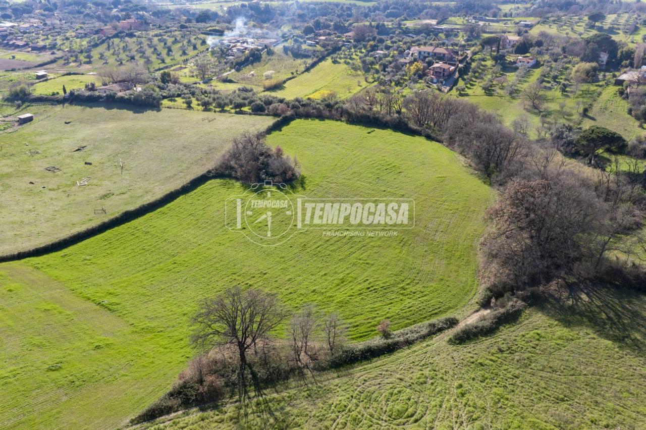 immagine annuncio 6 di 8