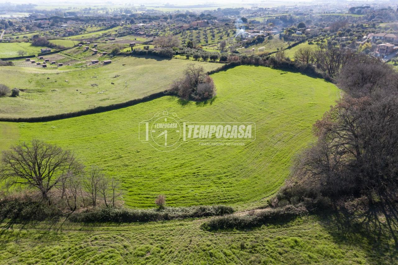 immagine annuncio 4 di 8