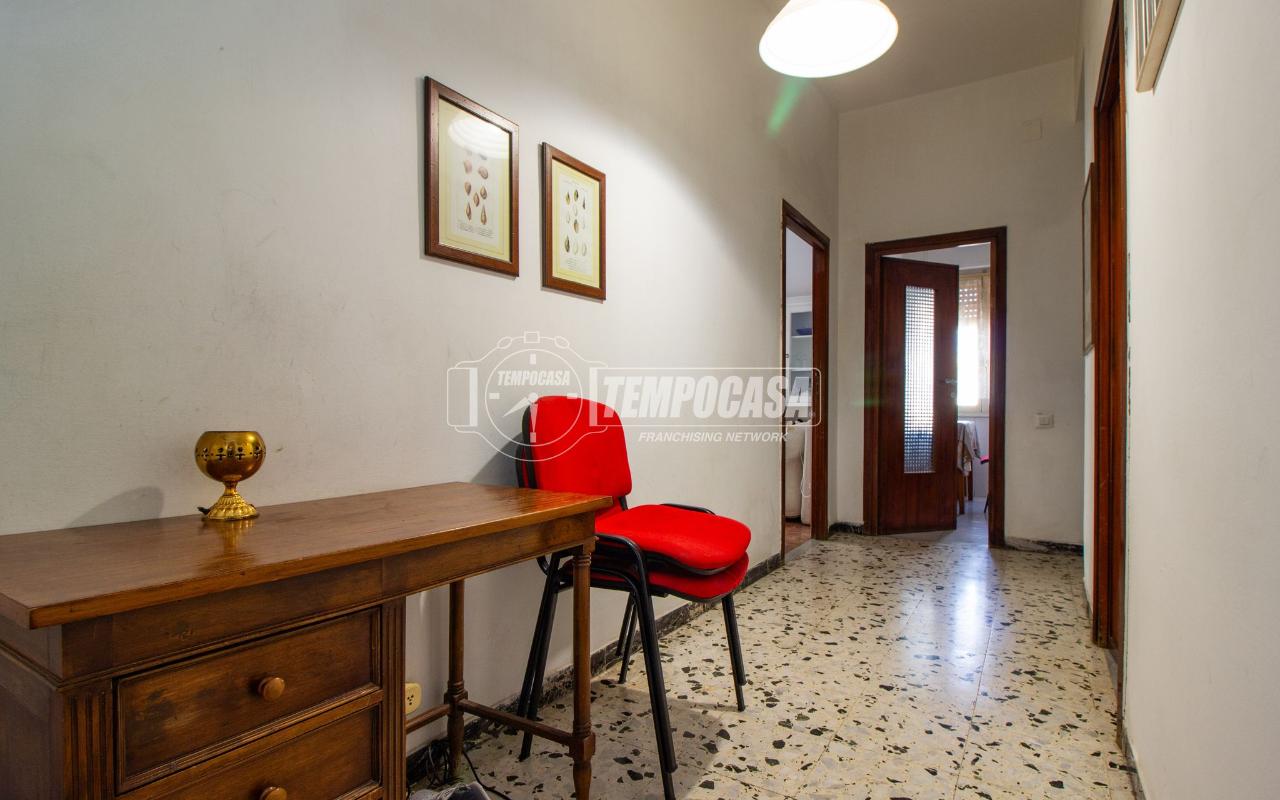 immagine annuncio 10 di 14