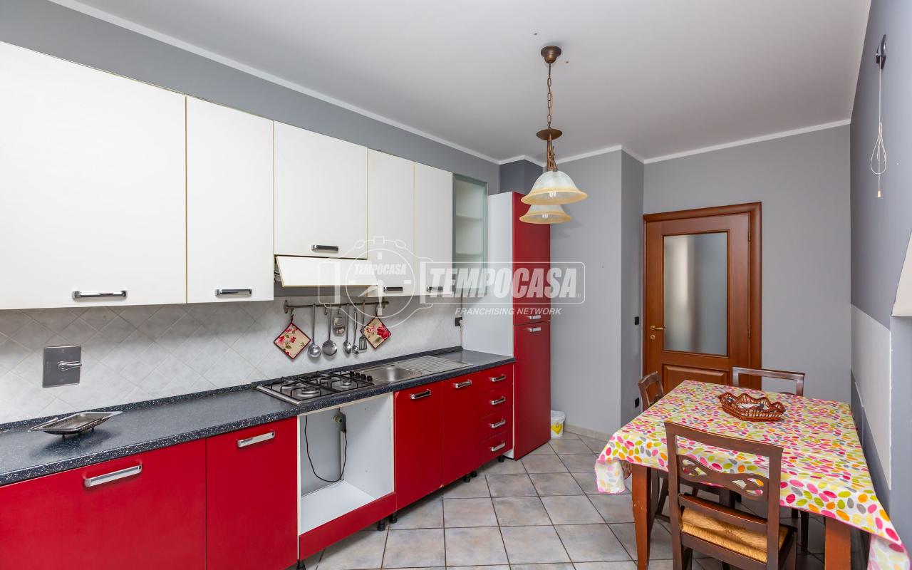 immagine annuncio 5 di 14