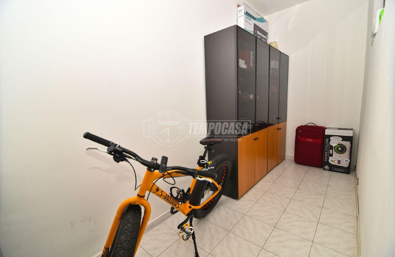 immagine annuncio 11 di 15