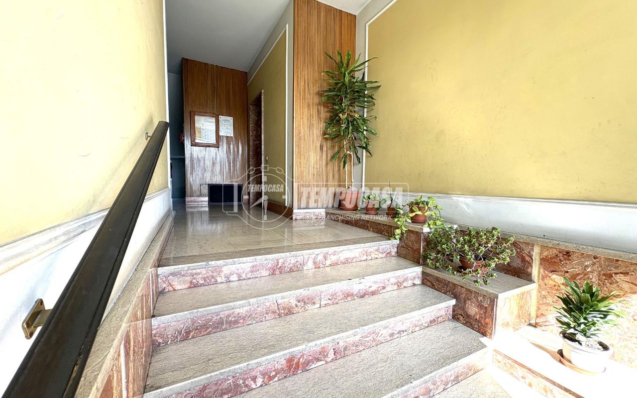 immagine annuncio 11 di 14