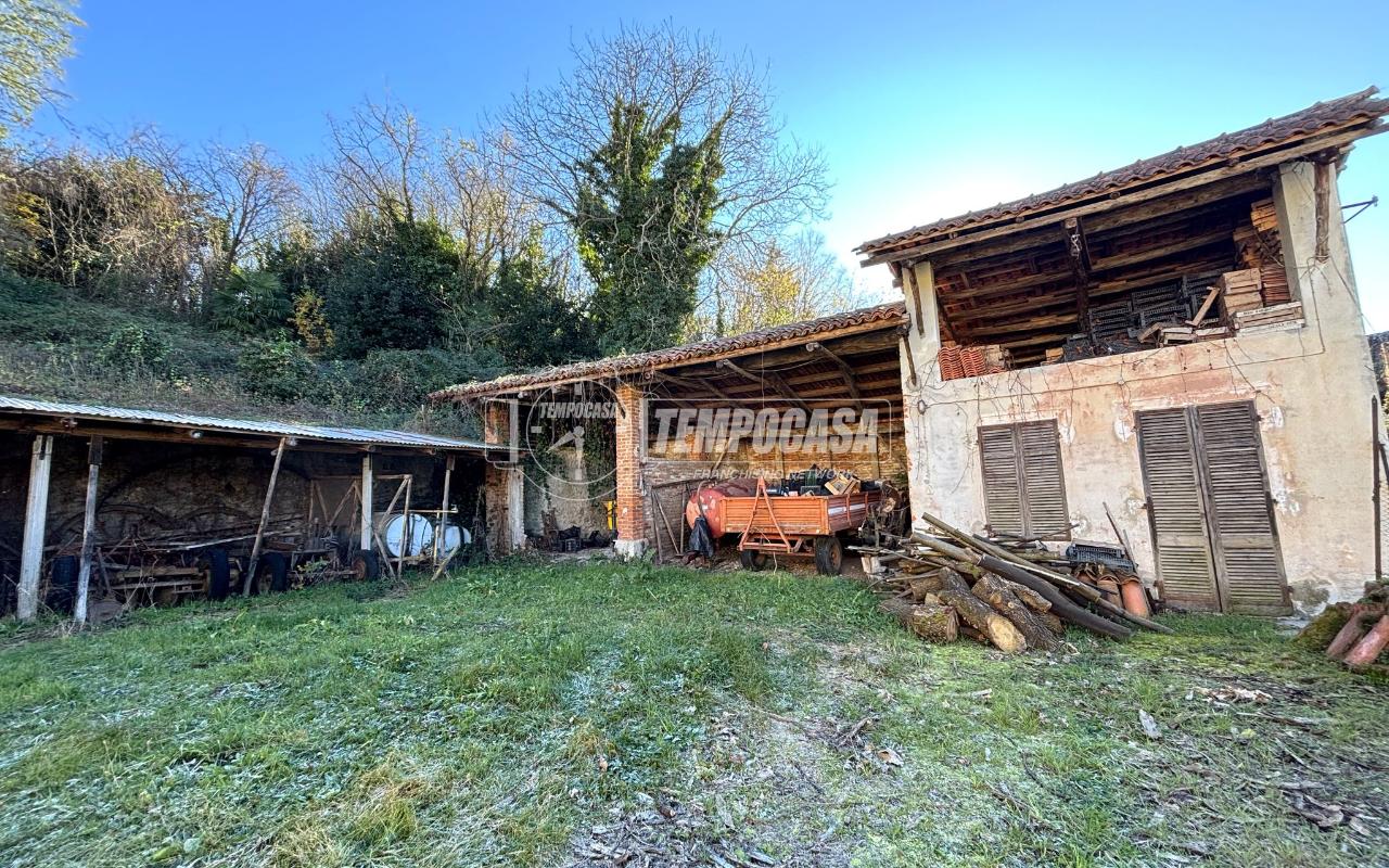 immagine annuncio 11 di 14