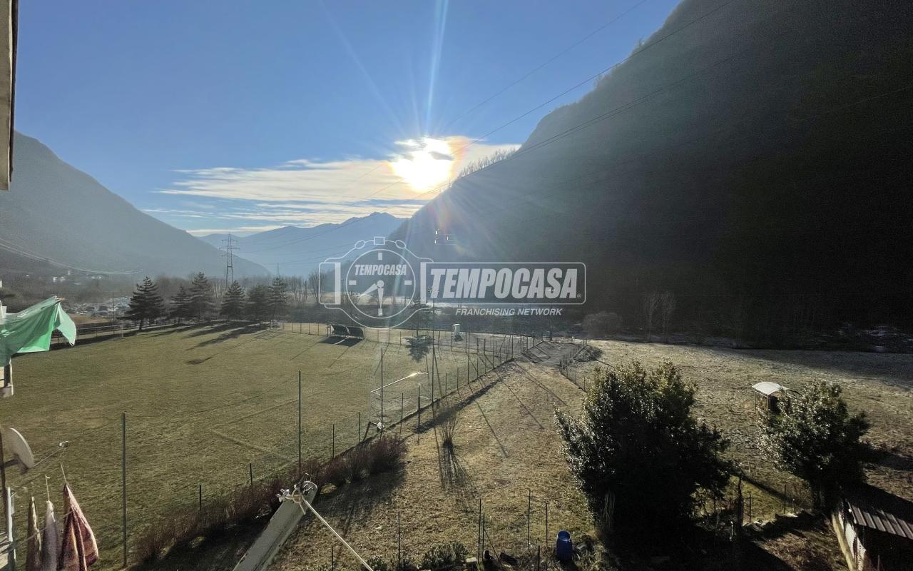 immagine annuncio 11 di 14