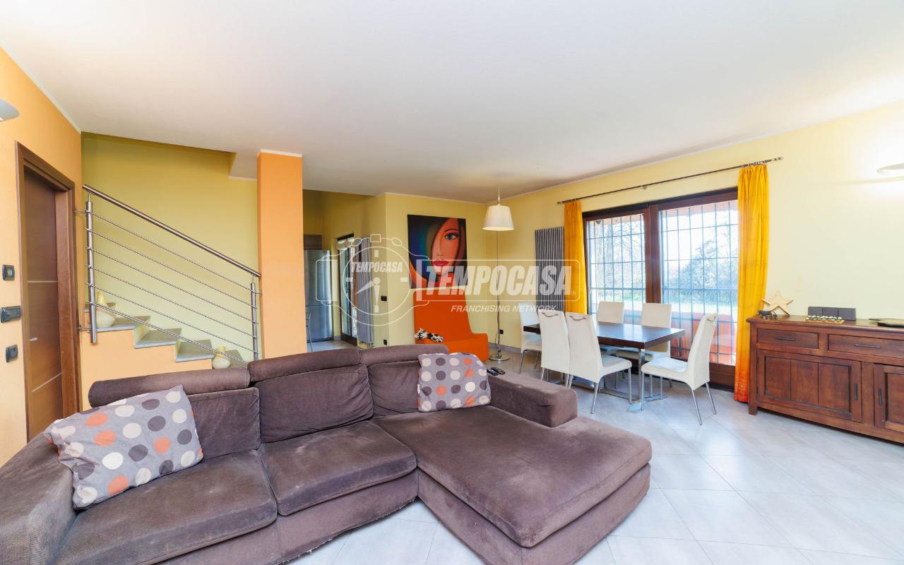 immagine annuncio 11 di 15