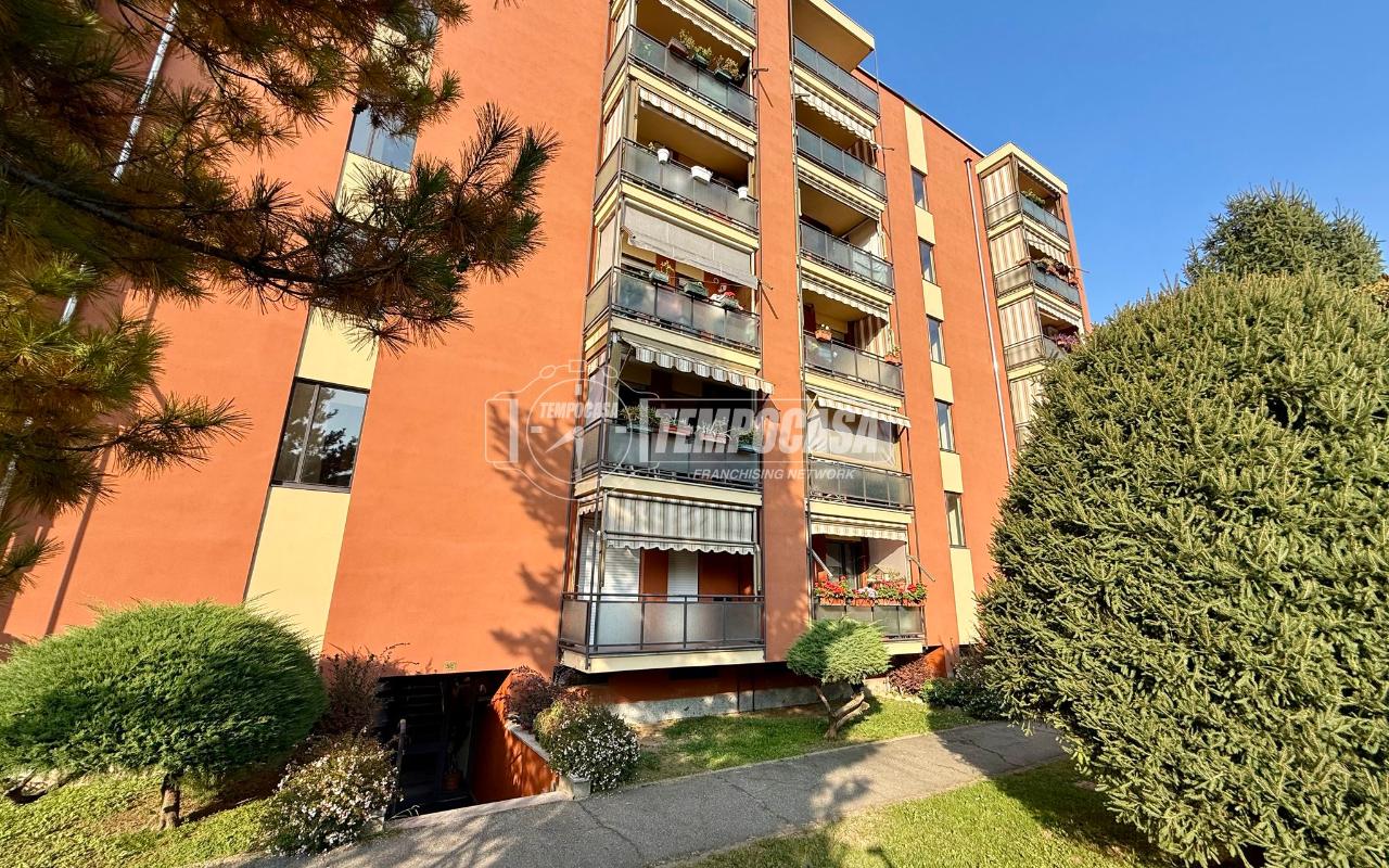 immagine annuncio 1 di 15