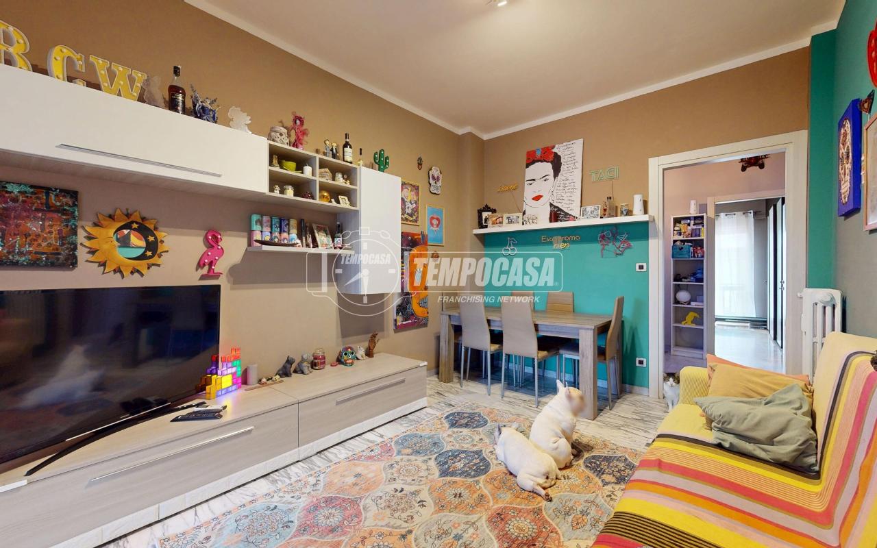 immagine annuncio 1 di 15