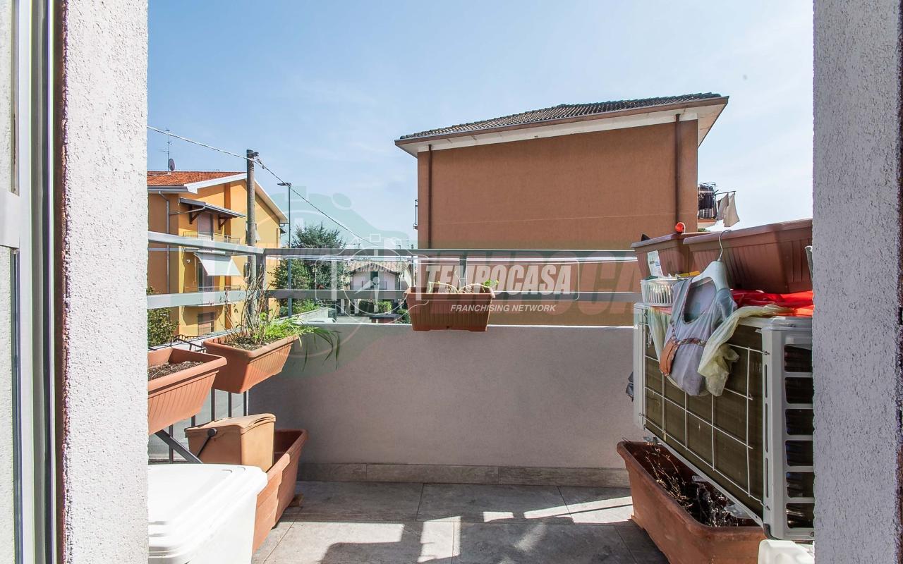 immagine annuncio 3 di 7