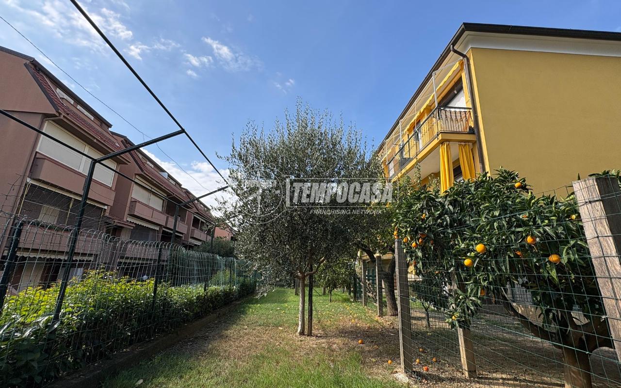 immagine annuncio 9 di 15