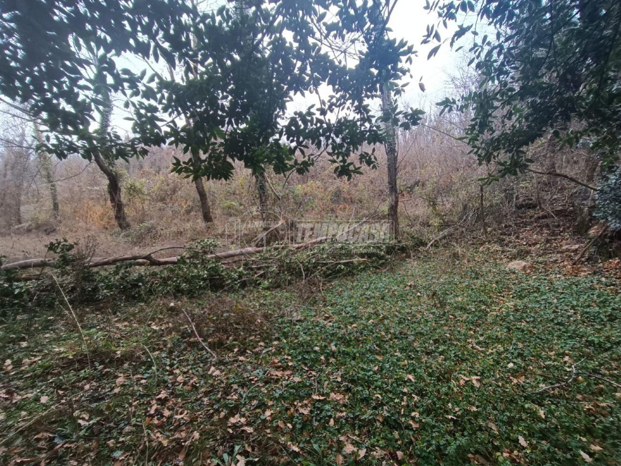 immagine annuncio 4 di 8