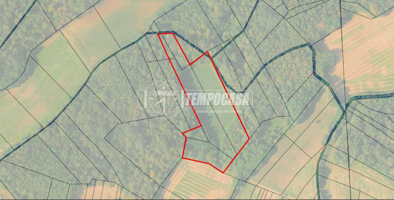 immagine annuncio 4 di 6