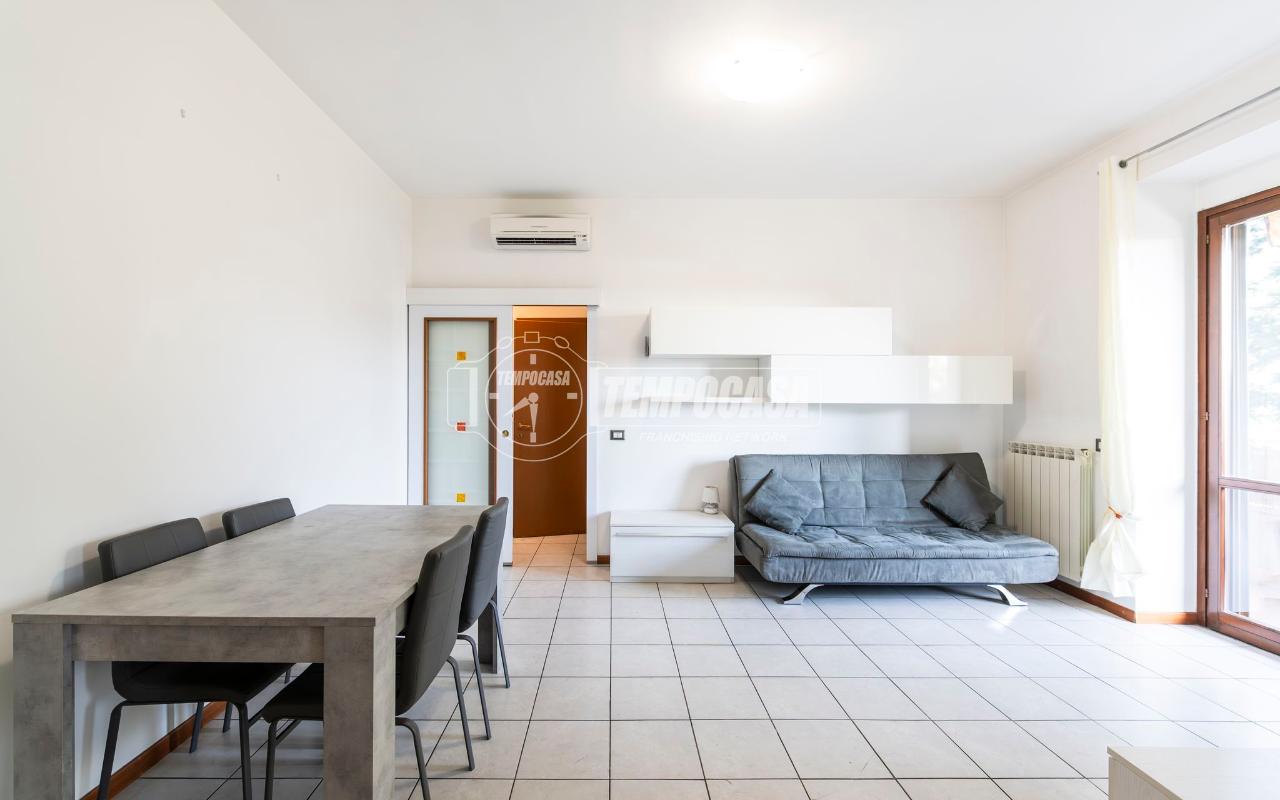 immagine annuncio 5 di 14