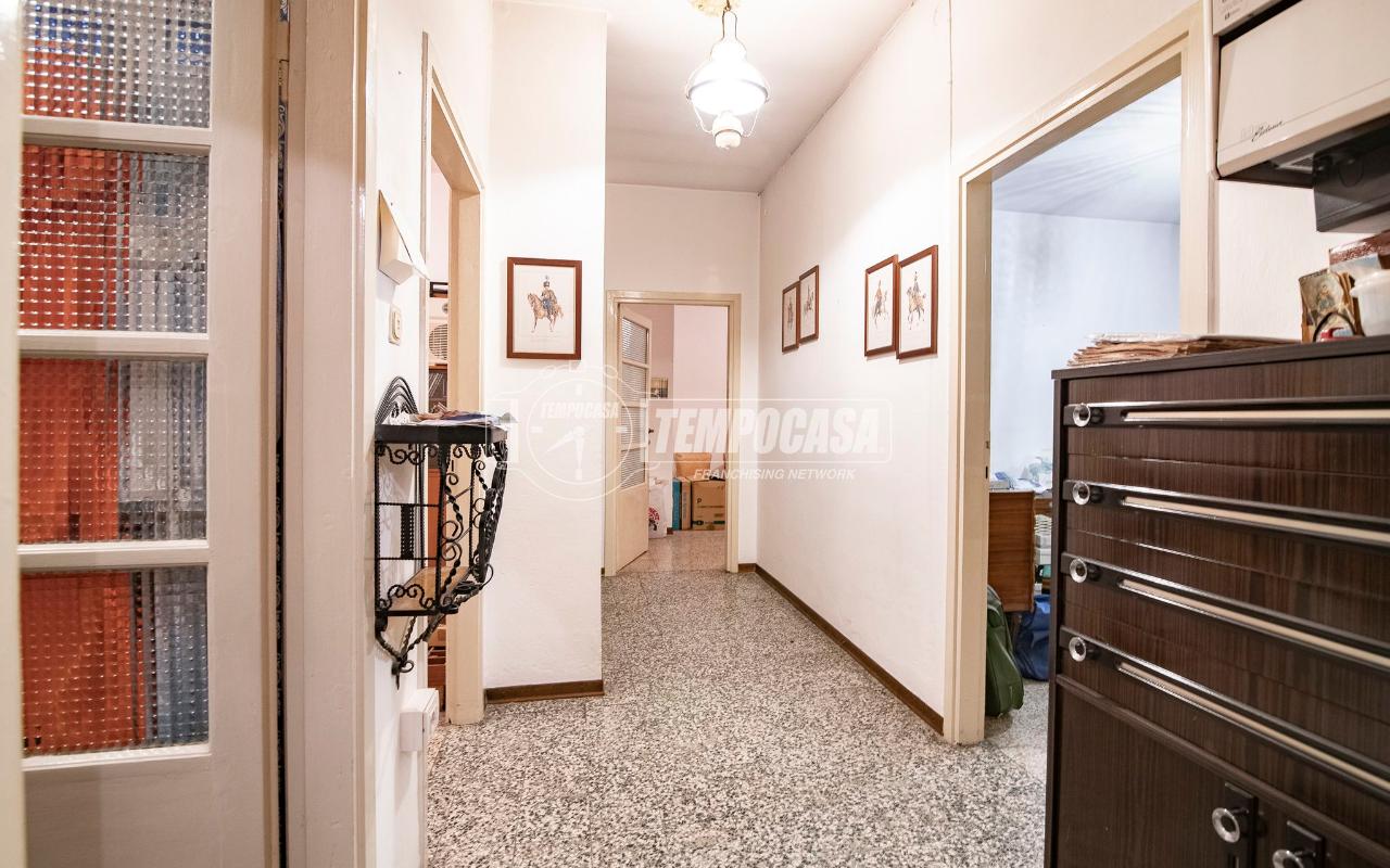 immagine annuncio 12 di 14