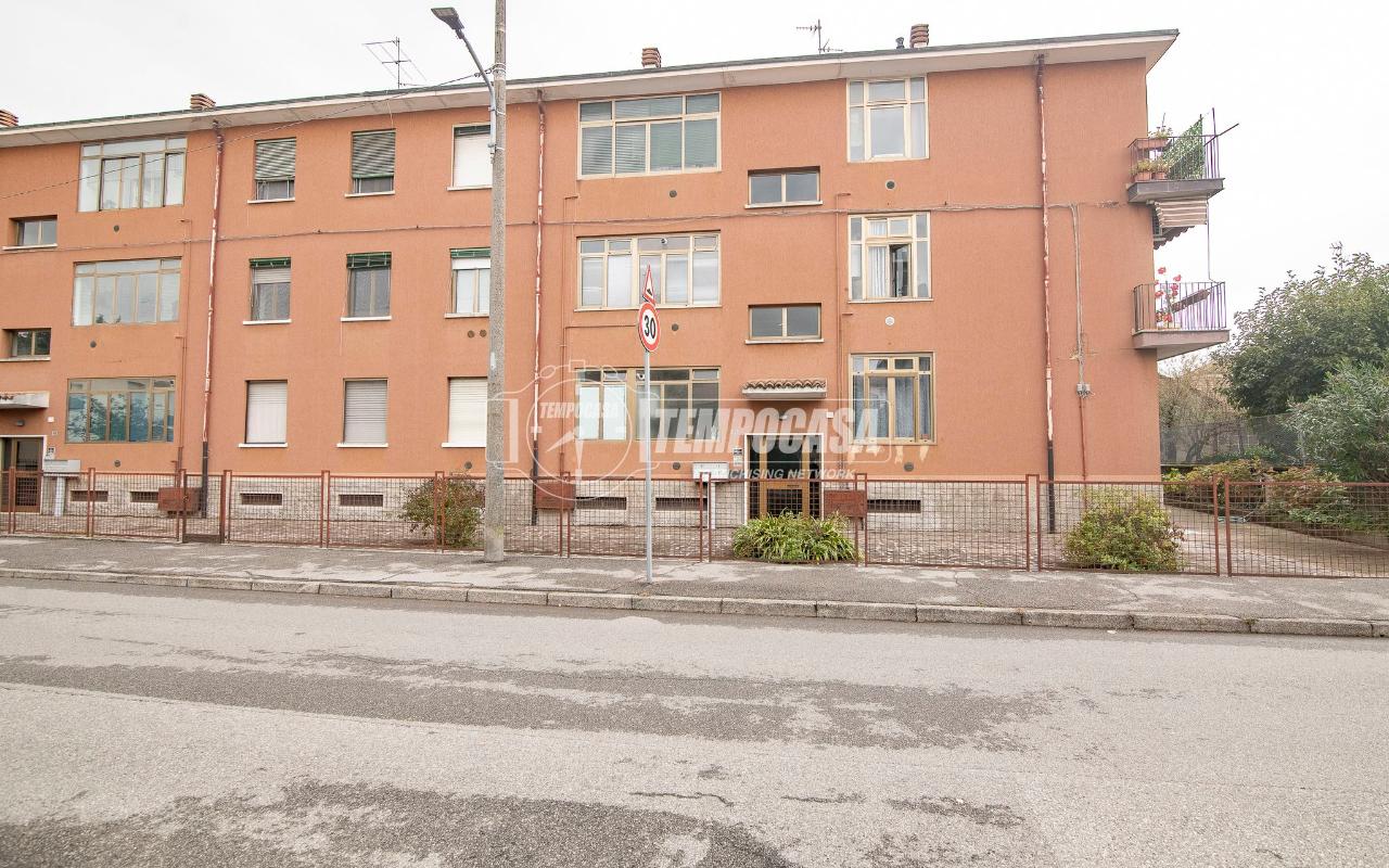 immagine annuncio 3 di 14