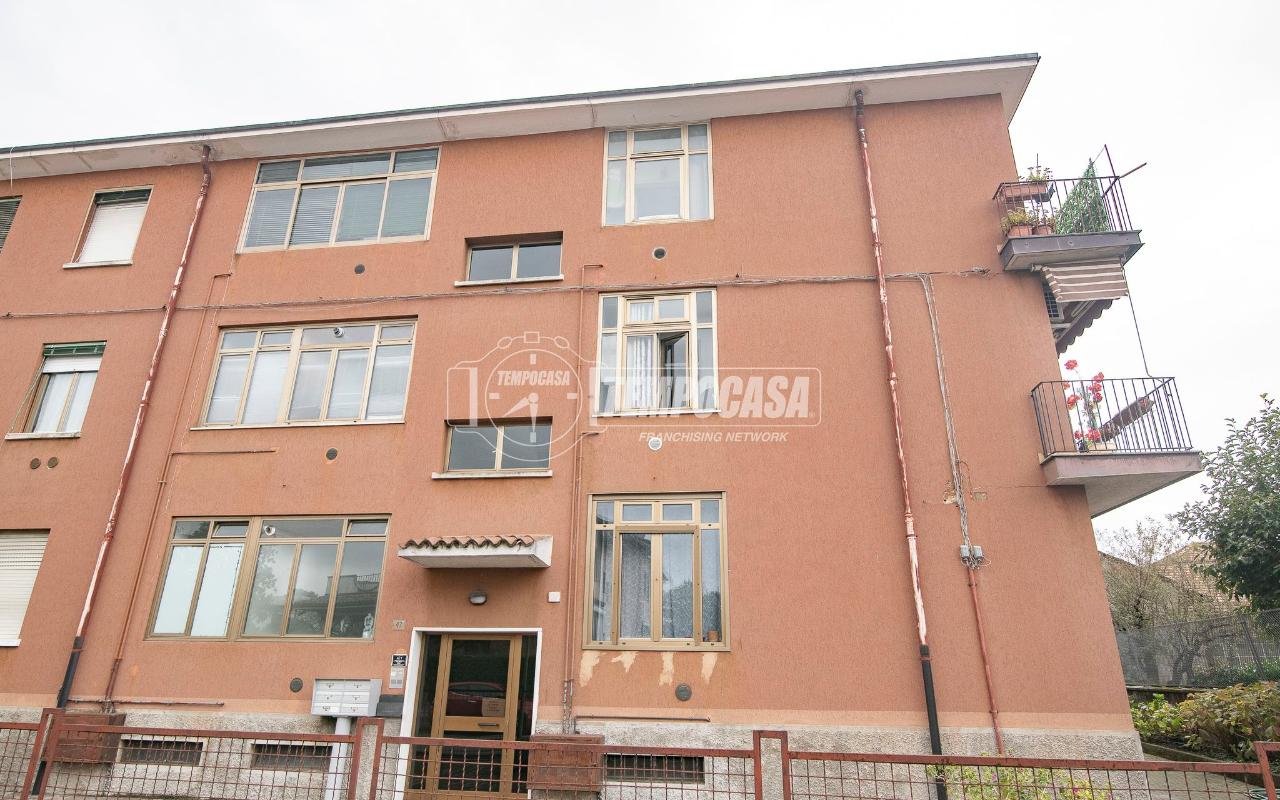 immagine annuncio 9 di 14