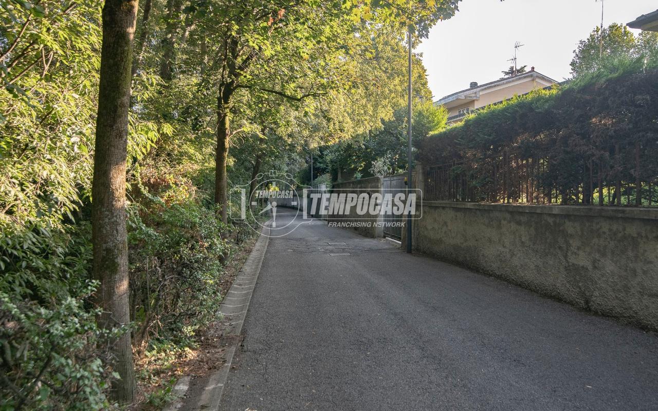 immagine annuncio 7 di 13