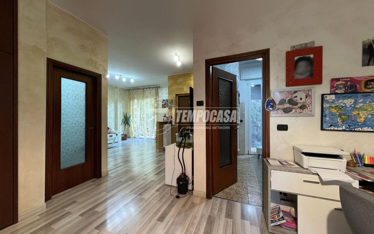 immagine annuncio 9 di 15