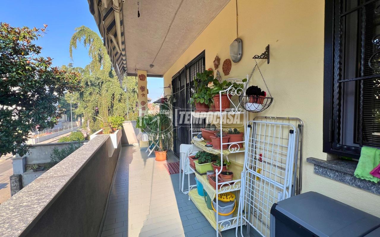 immagine annuncio 4 di 15