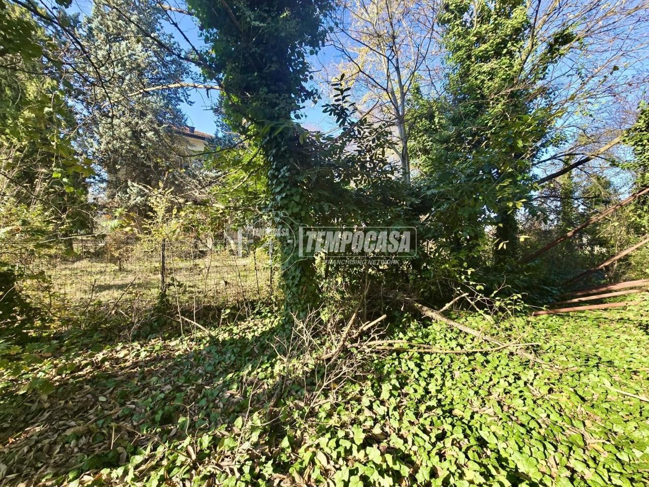 immagine annuncio 2 di 6