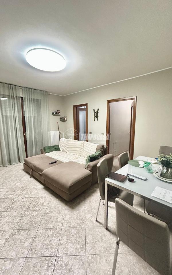 immagine annuncio 5 di 13