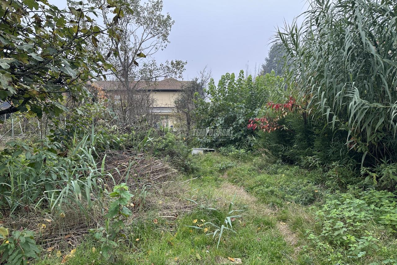 immagine annuncio 7 di 14