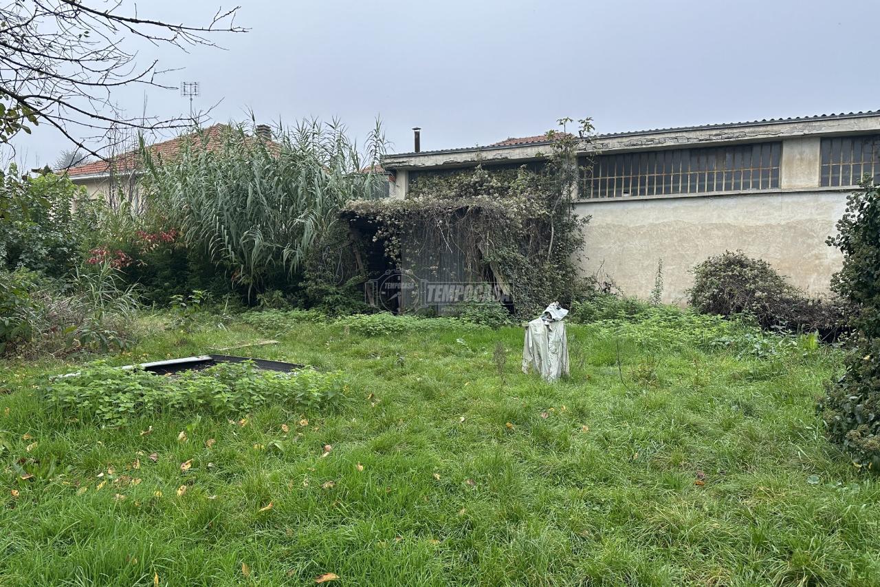 immagine annuncio 3 di 14