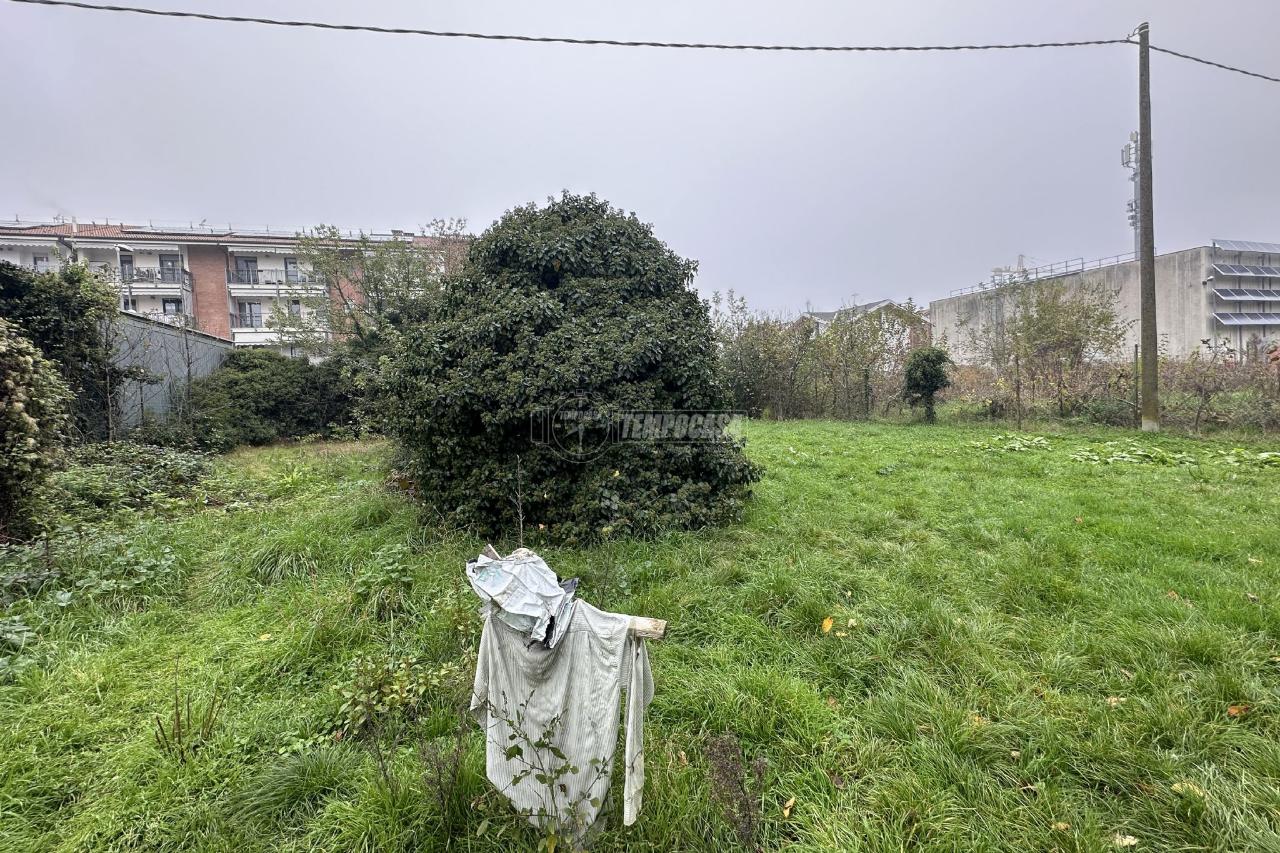 immagine annuncio 5 di 14