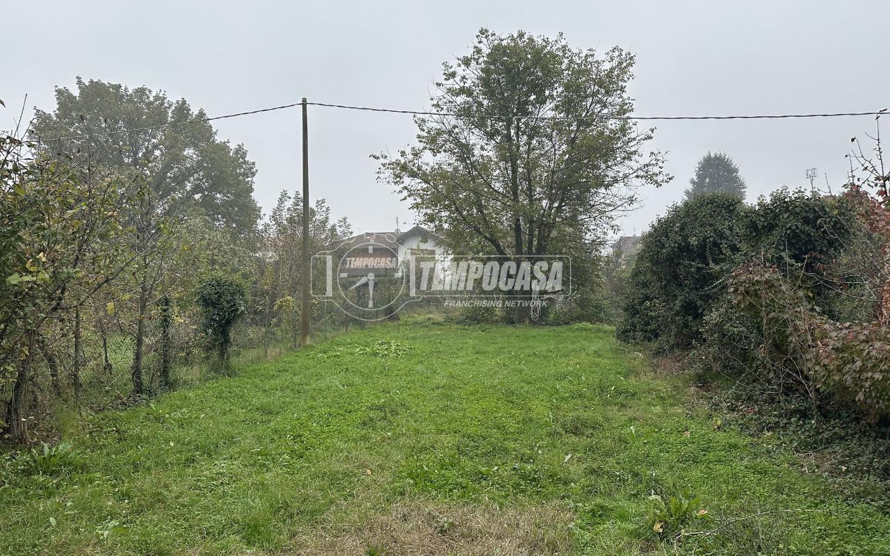 immagine annuncio 2 di 14