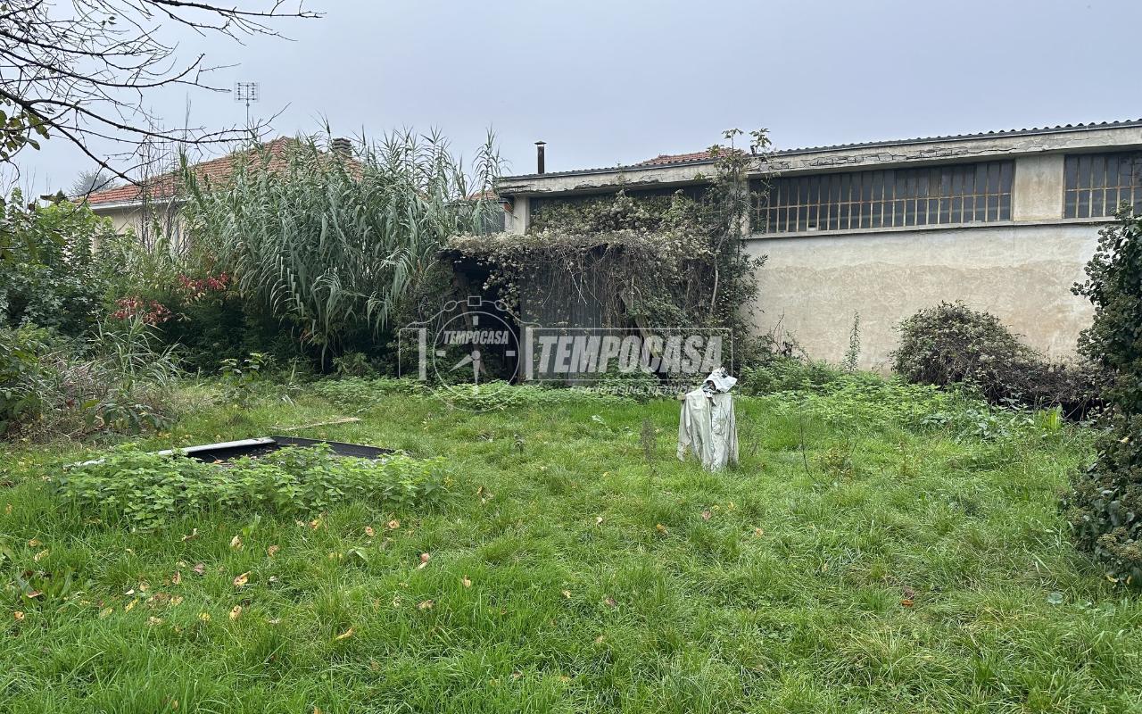 immagine annuncio 3 di 14