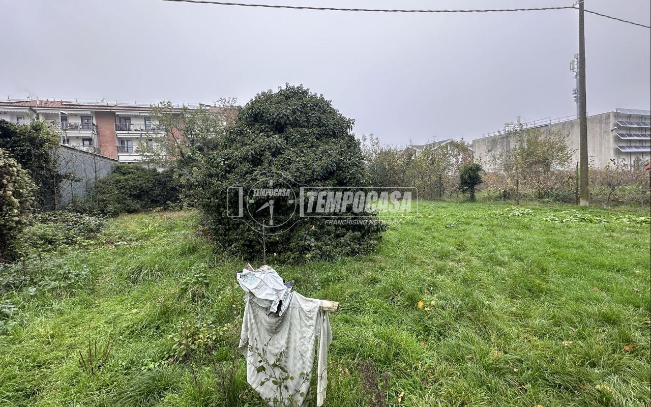 immagine annuncio 5 di 14