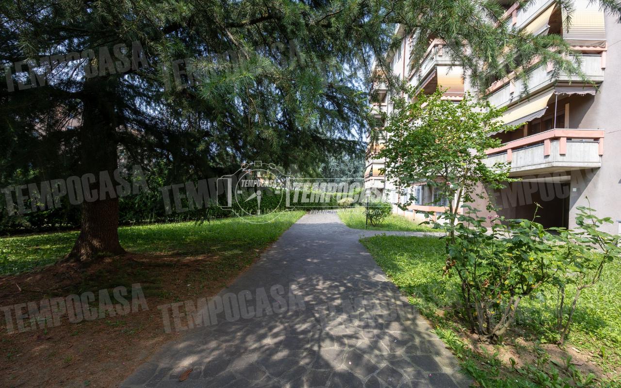 immagine annuncio 10 di 13