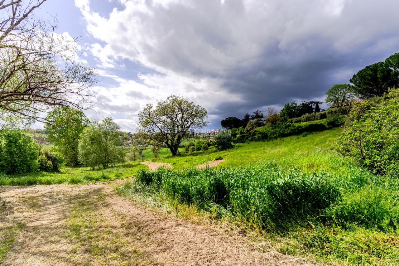 Terreno agricolo in vendita a Macerata