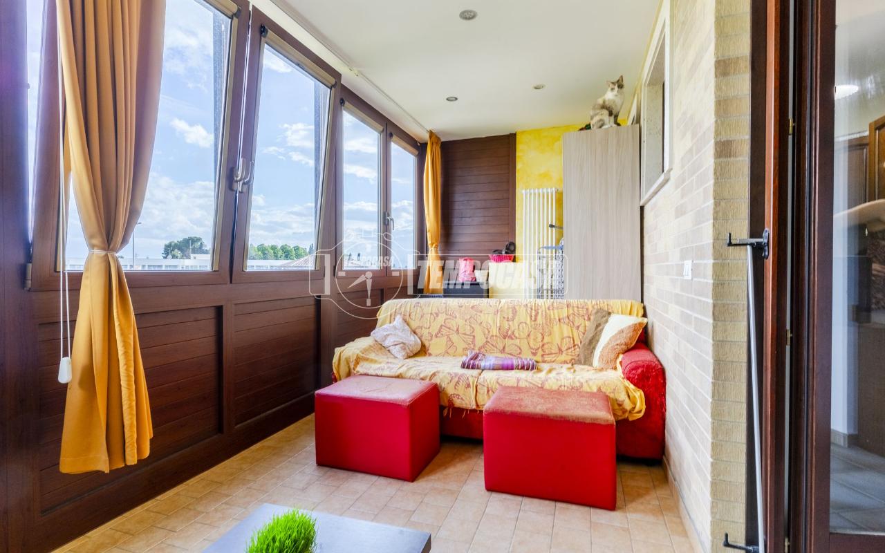 immagine annuncio 13 di 15