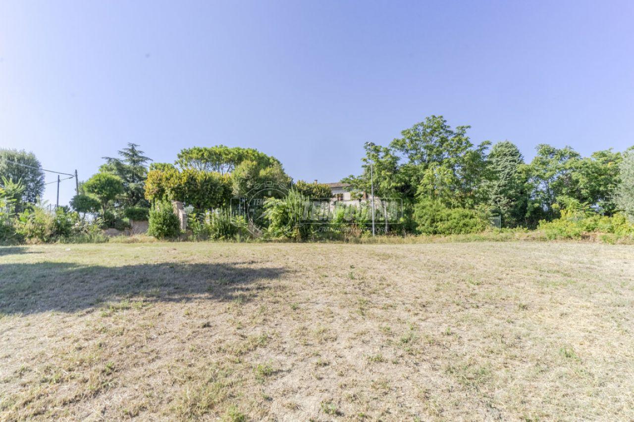 immagine annuncio 11 di 13