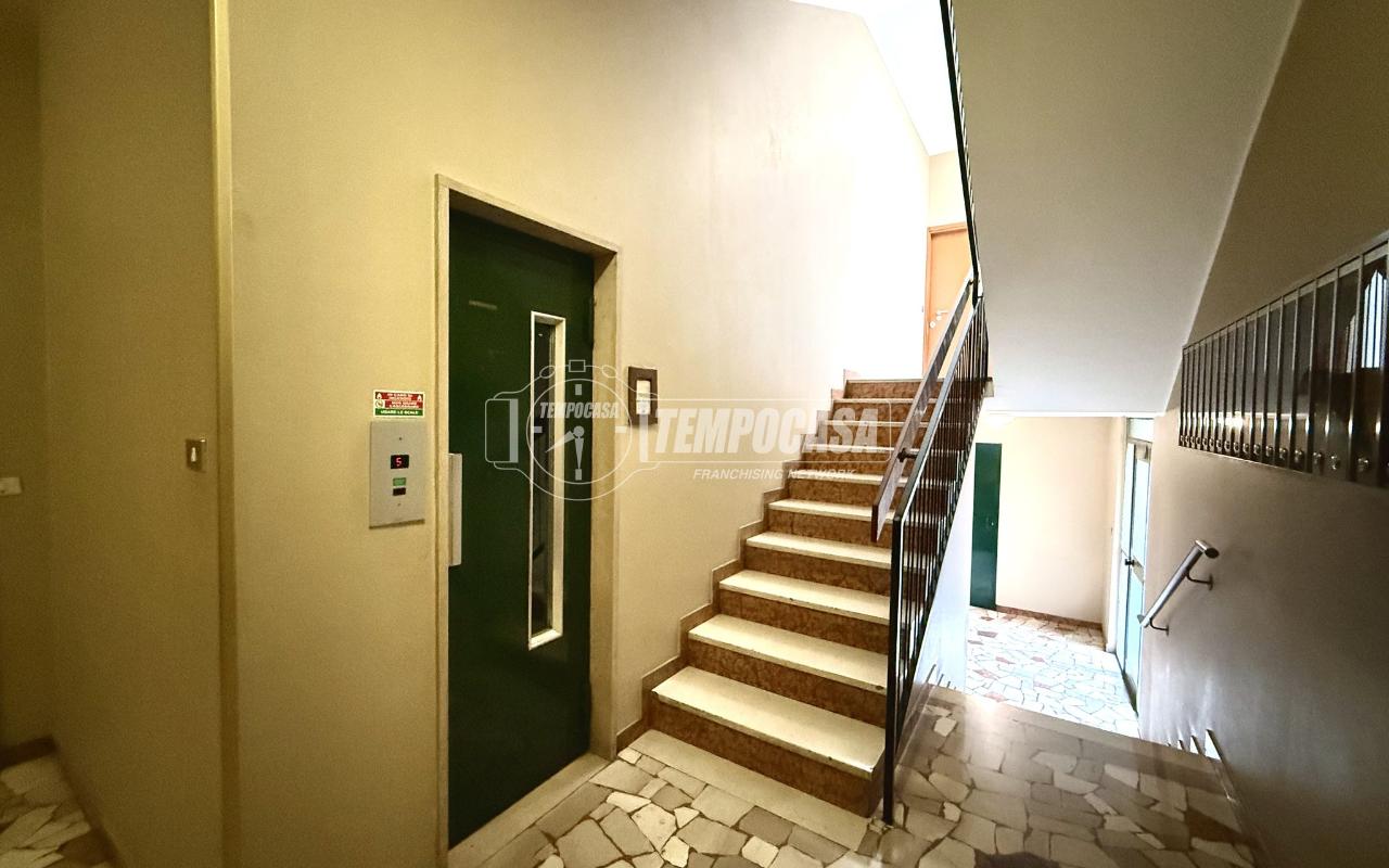 immagine annuncio 11 di 14