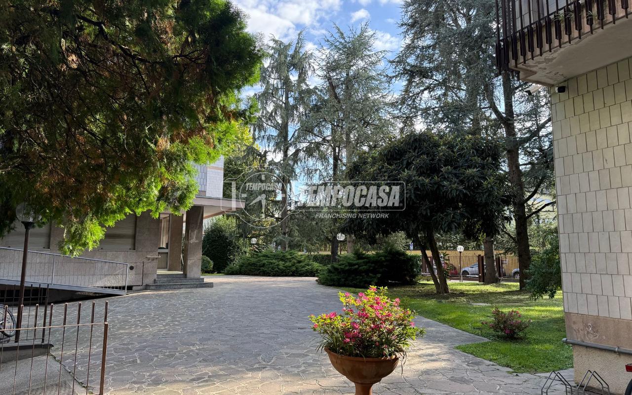 immagine annuncio 12 di 14