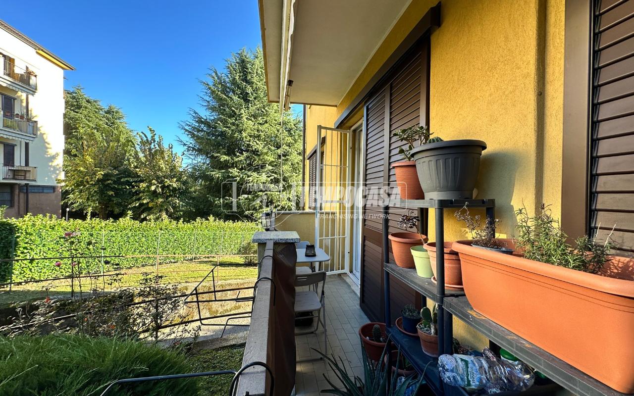 immagine annuncio 5 di 15