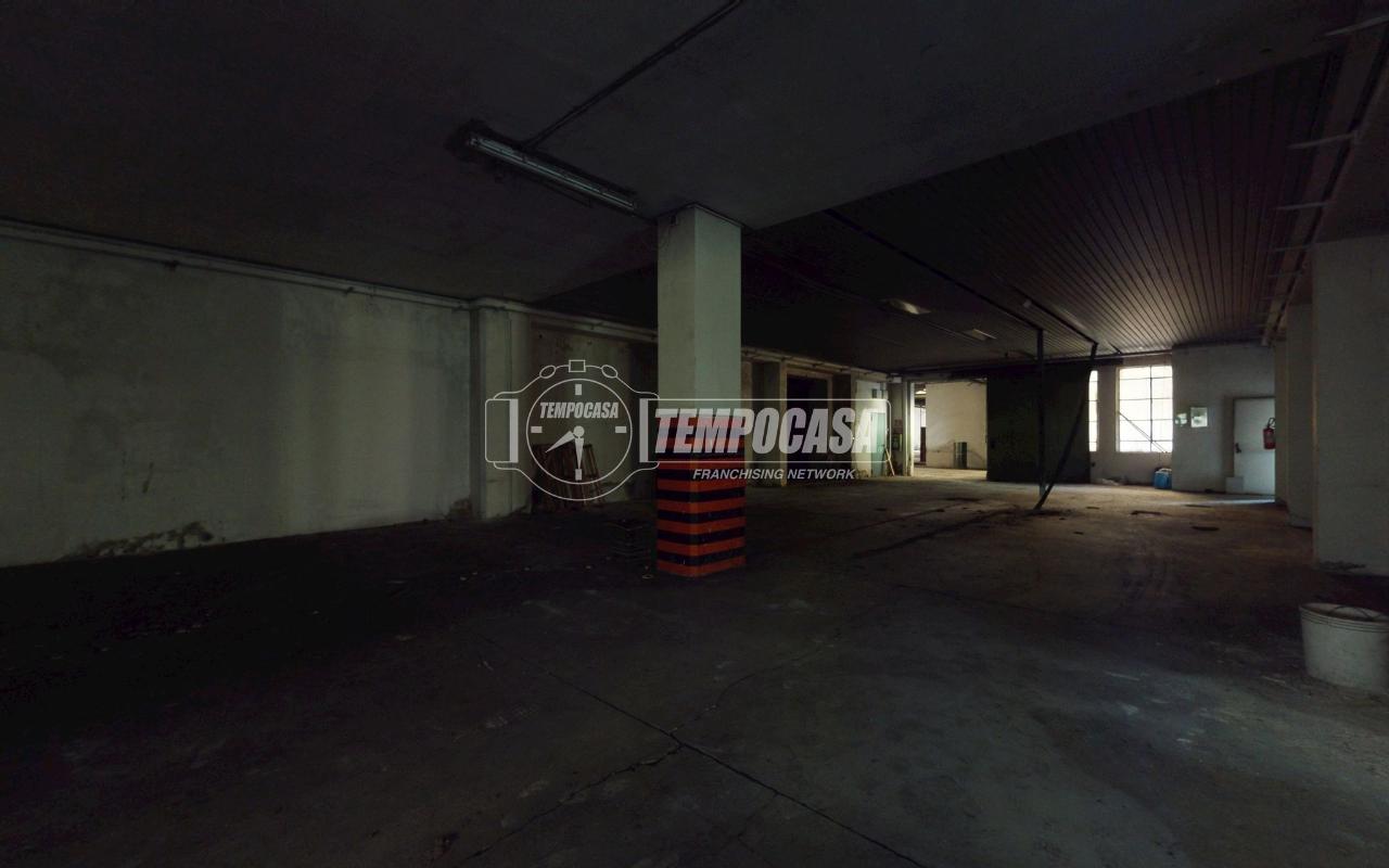 immagine annuncio 14 di 15