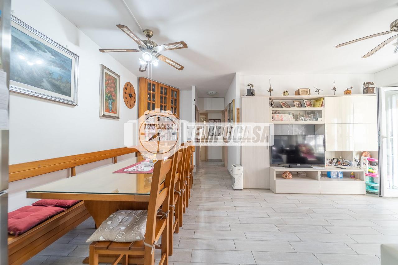 immagine annuncio 5 di 14