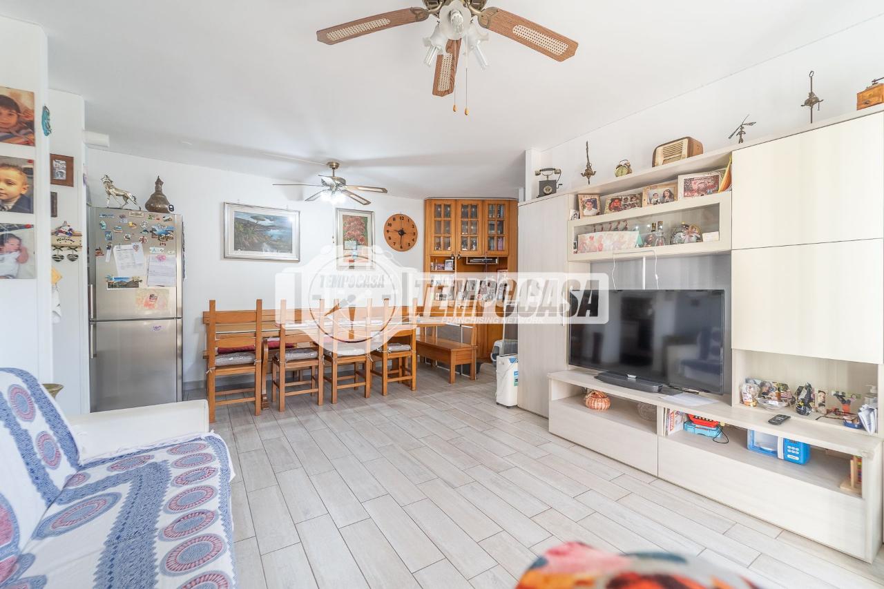 immagine annuncio 4 di 14