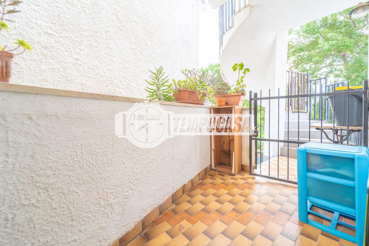 immagine annuncio 10 di 12