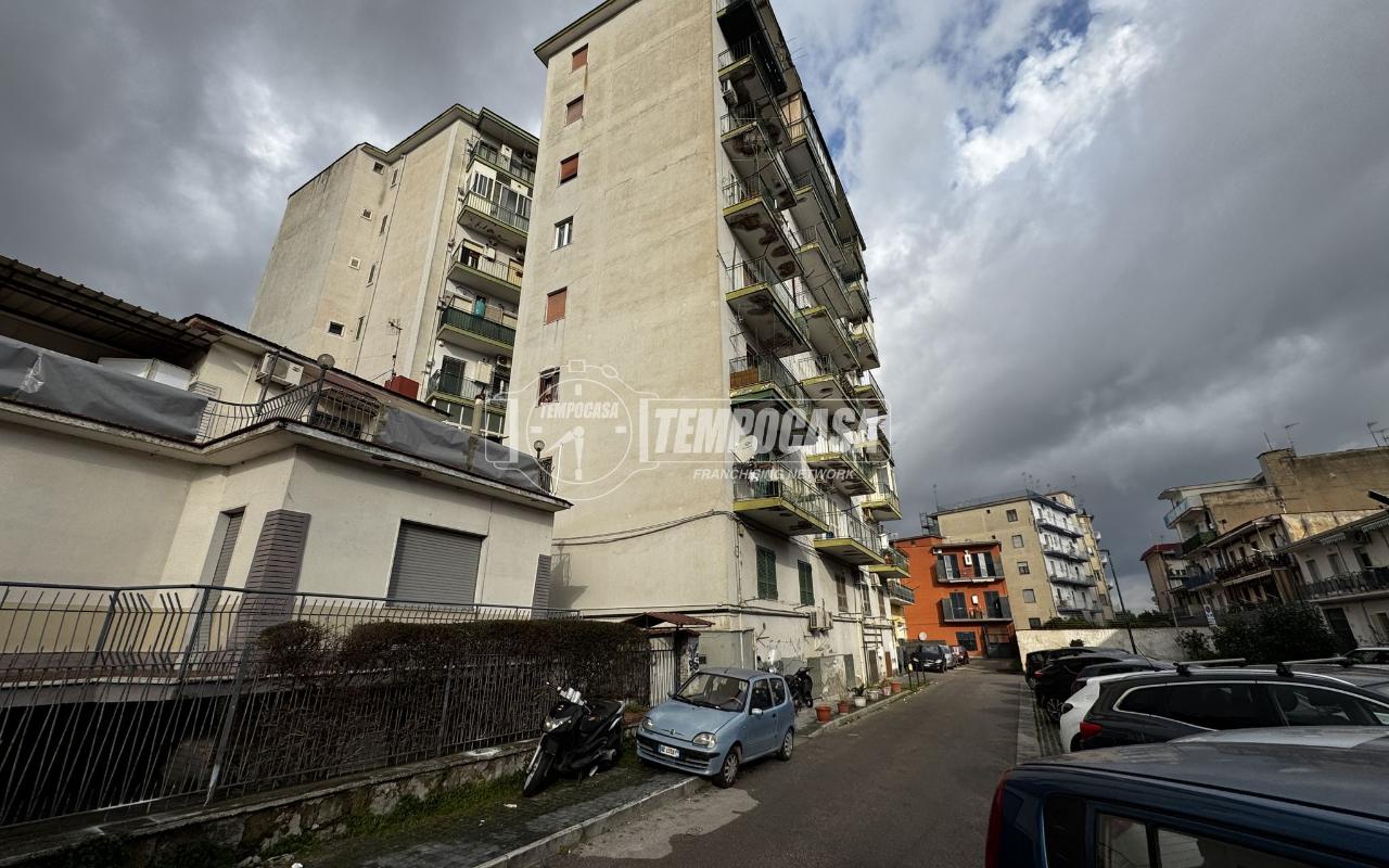 immagine annuncio 3 di 7