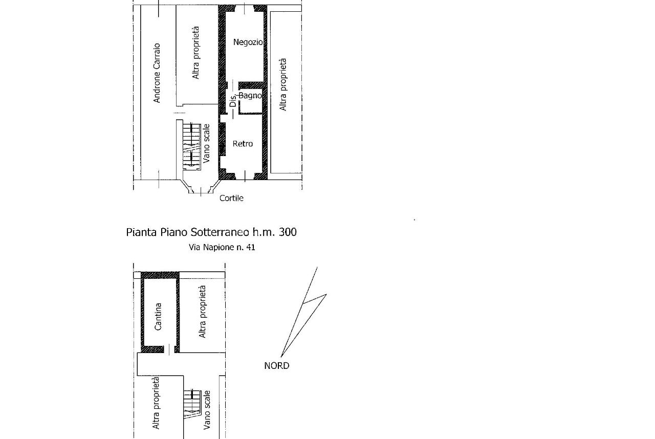 Negozio in Via Giovanni Francesco Napione, Torino, {3} - Planimetria 1