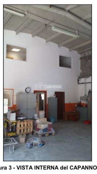 immagine annuncio 3 di 9