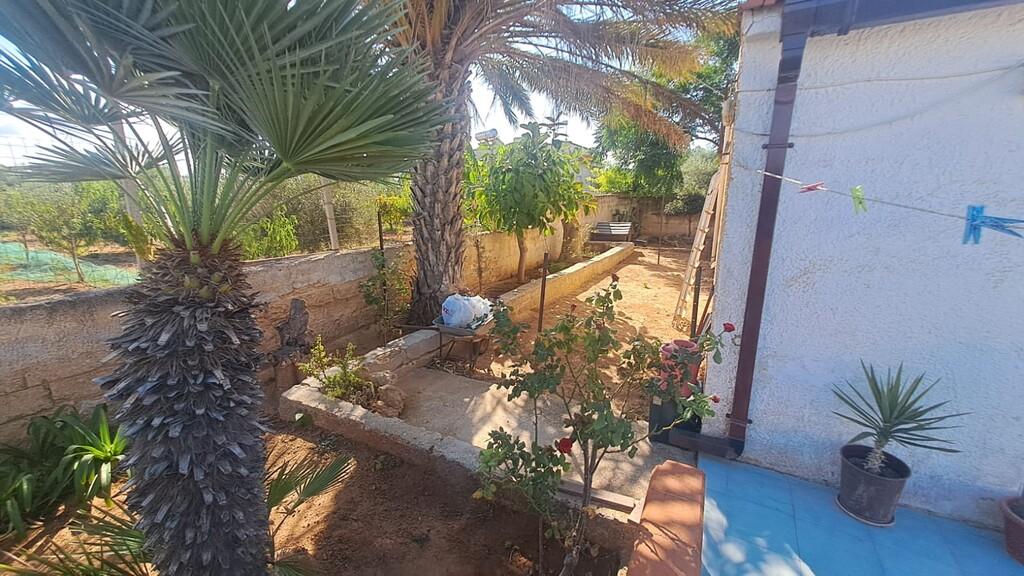 immagine annuncio 4 di 6